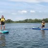 Paddle board